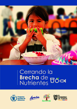 Cerrando la brecha de nutrientes en Ecuador